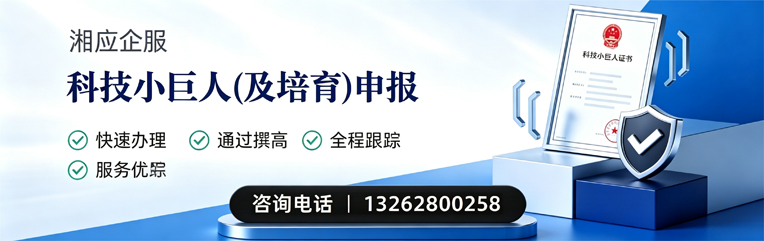 深圳科技小巨人及培育企业申报服务