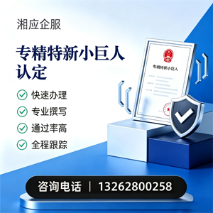 深圳专精特新小巨人申报服务