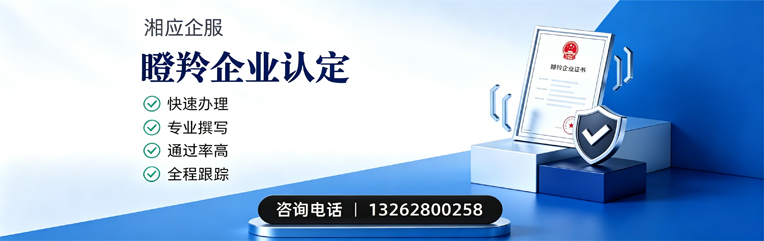 深圳瞪羚企业认定申报服务