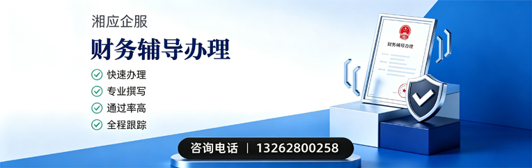 深圳财务辅导申请服务