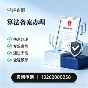 深圳算法备案申报服务