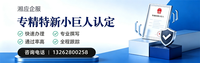 深圳专精特新小巨人申报服务